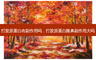 打胶原蛋白有副作用吗，打胶原蛋白隆鼻副作用大吗