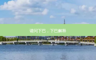 请问下巴，下巴解释