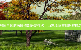淄博自体脂肪隆胸部医院排名，山东淄博整形医院排名