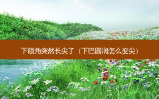 下颌角突然长尖了（下巴圆润怎么变尖）