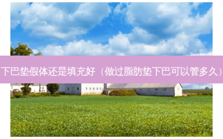 下巴垫假体还是填充好（做过脂肪垫下巴可以管多久）
