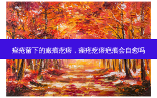 痤疮留下的瘢痕疙瘩，痤疮疙瘩疤痕会自愈吗