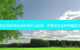 中胚层水光针和水光针有什么区别，中胚层水光针针眼多久消失