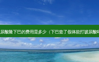 玻尿酸隆下巴的费用是多少（下巴垫了假体能打玻尿酸吗）