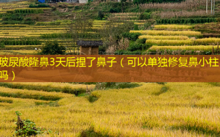 玻尿酸隆鼻3天后捏了鼻子（可以单独修复鼻小柱吗）