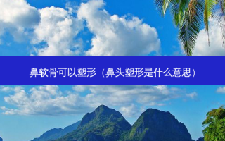 鼻软骨可以塑形（鼻头塑形是什么意思）