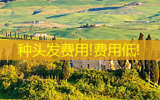 种头发费用!费用低!
