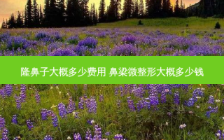 隆鼻子大概多少费用 鼻梁微整形大概多少钱