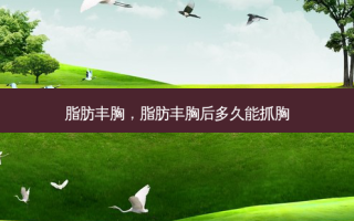 脂肪丰胸，脂肪丰胸后多久能 *** 