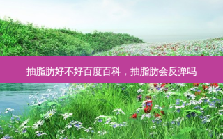 抽脂肪好不好百度百科，抽脂肪会反弹吗
