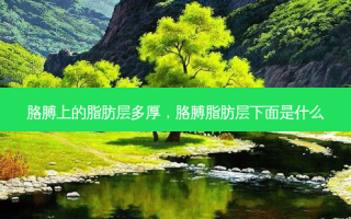 胳膊上的脂肪层多厚，胳膊脂肪层下面是什么
