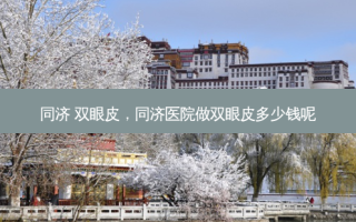 同济 双眼皮，同济医院做双眼皮多少钱呢