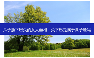 瓜子脸下巴尖的女人面相，尖下巴是属于瓜子脸吗