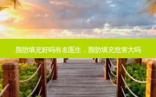 脂肪填充好吗有名医生，脂肪填充危害大吗