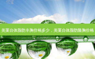 美莱自体脂肪丰胸价格多少，美莱自体脂肪隆胸价格