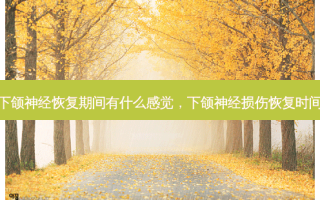 下颌神经恢复期间有什么感觉，下颌神经损伤恢复时间