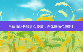 自体脂肪包膜多久脱落，自体脂肪包膜图片