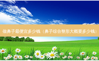 做鼻子 *** 多少钱（鼻子综合整形大概要多少钱）