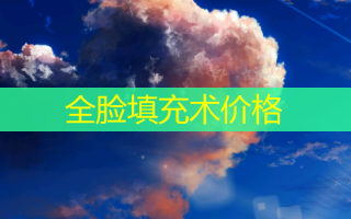 全脸填充术价格