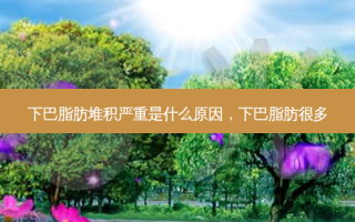 下巴脂肪堆积严重是什么原因，下巴脂肪很多