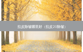 拉皮除皱哪里好（拉皮20除皱）