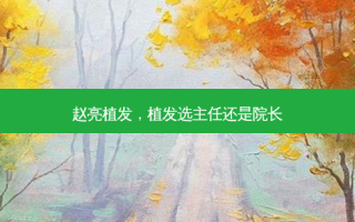 赵亮植发，植发选主任还是院长