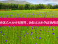 涂抹式水光针有用吗，涂抹水光针的正确用法