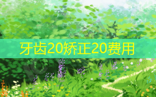 牙齿20矫正20费用
