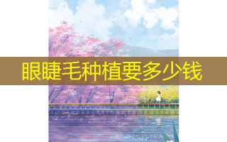 眼睫毛种植要多少钱