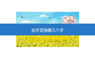 前牙是指哪几个牙