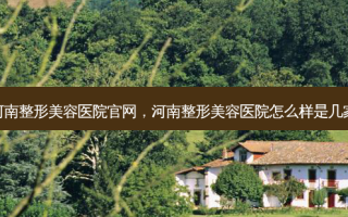 河南整形美容医院官网，河南整形美容医院怎么样是几家