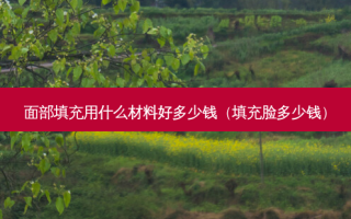 面部填充用什么材料好多少钱（填充脸多少钱）