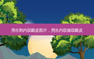 男生割内双眼皮图片，男生内双做双眼皮