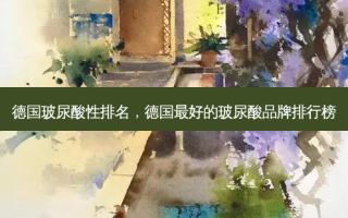 德国玻尿酸性排名，德国 *** 的玻尿酸品牌排行榜