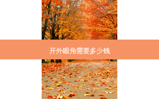 开外眼角需要多少钱