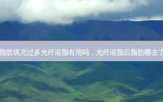 脂肪填充过多光纤溶脂有用吗，光纤溶脂后脂肪哪去了