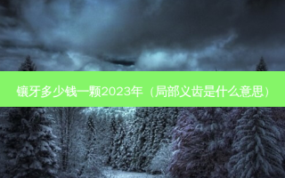 镶牙多少钱一颗2023年（局部义齿是什么意思）