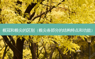 根冠和根尖的区别（根尖各部分的结构特点和功能）