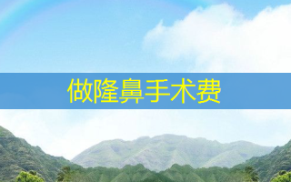 做隆鼻手术费