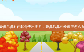 隆鼻后鼻孔内软骨突出图片，隆鼻后鼻孔长痘痘怎么办