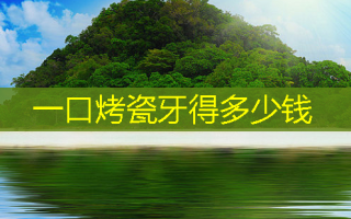 一口烤瓷牙得多少钱