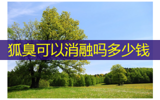 狐臭可以消融吗多少钱