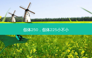 假体250，假体225小不小