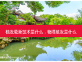 植发最新技术是什么，物理植发是什么