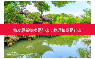 植发最新技术是什么，物理植发是什么