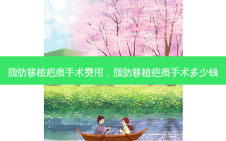脂肪移植疤痕手术费用，脂肪移植疤痕手术多少钱