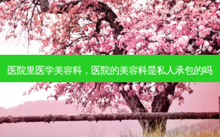 医院里医学美容科，医院的美容科是私人承包的吗