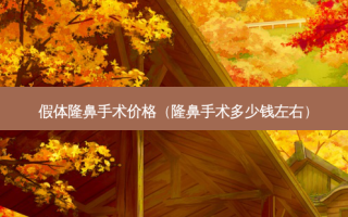 假体隆鼻手术价格（隆鼻手术多少钱左右）