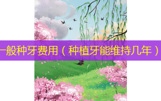 一般种牙费用（种植牙能维持几年）