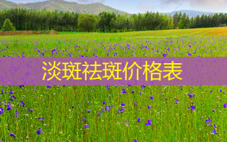 淡斑祛斑价格表